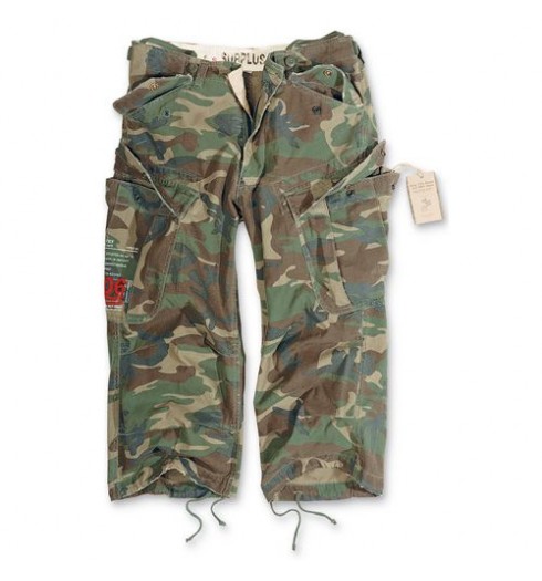 http://www.eblastshop.fr/1950-productZoom/pantacourt-camouflage.jpg